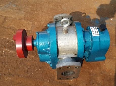 LC不銹鋼羅茨食品泵