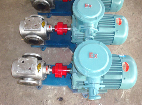 不銹鋼保溫齒輪泵